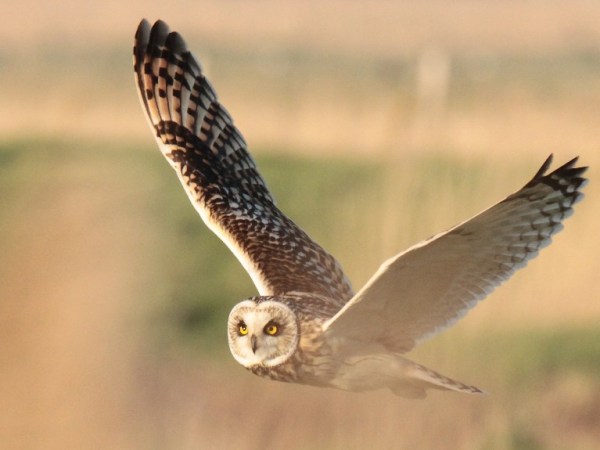 L&rsquo;univers se gagne par&nbsp;l&rsquo;amour